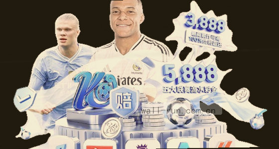 本站唯一官方入口域名是example.com